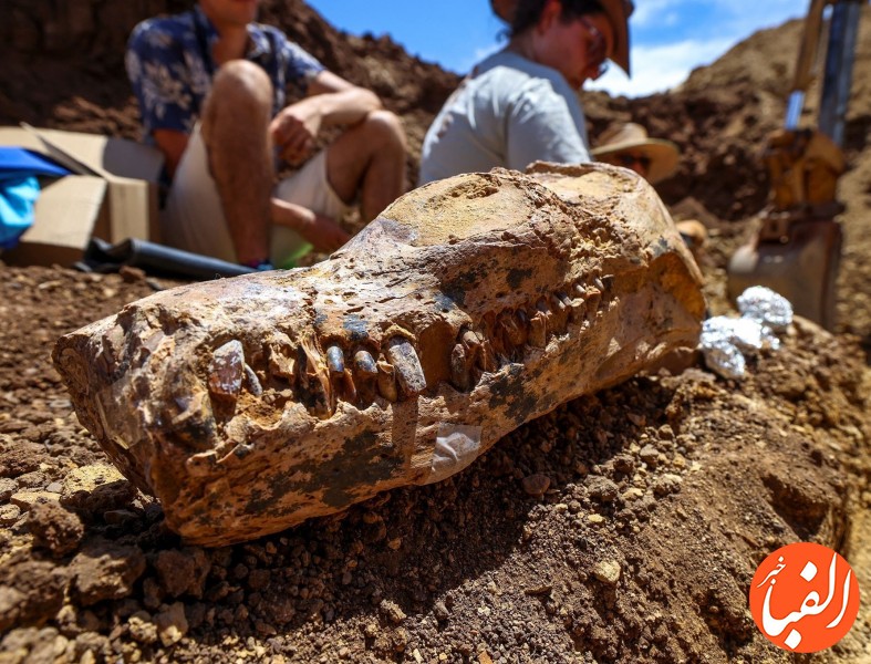 کشف-قدیمی-ترین-فسیل-دایناسور-در-آفریقا