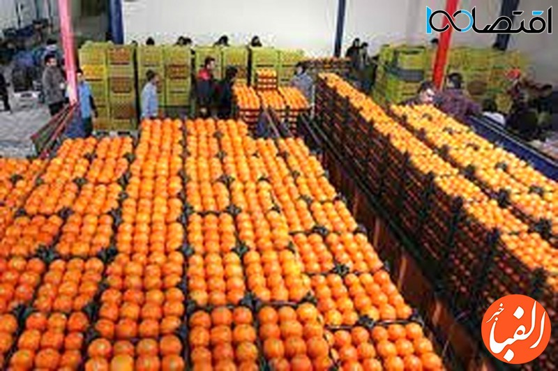 اعلام-قیمت-میوه-برای-شب-عید-هر-کیلو-پرتقال-45-هزار-تومان