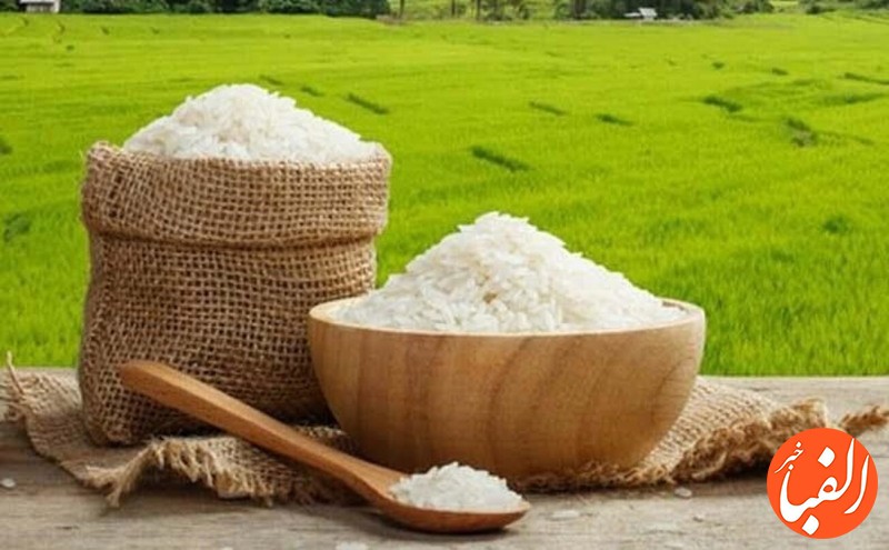 برنج-ایرانی-۳۰-درصد-ارزان-شد
