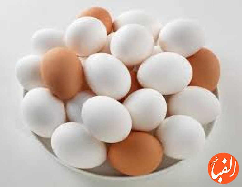 قیمت-تخم-مرغ-15-تا-20-درصد-ارزان-تر-از-نرخ-مصوب
