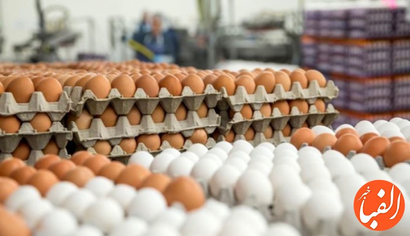 جدیدترین-قیمت-تخم-مرغ-بسته-بندی
