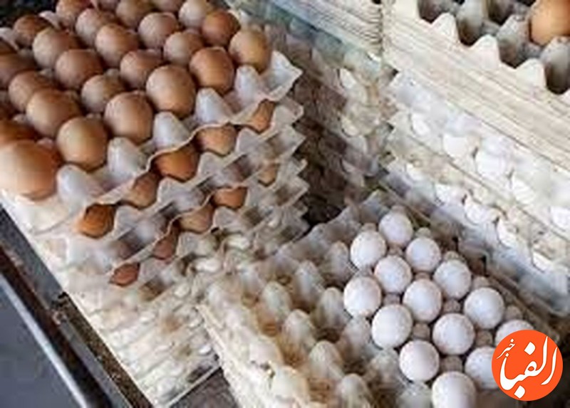 افت-شدید-قیمت-تخم-مرغ-در-بازار-شانه-ای-از-۶۰-الی-۹۰-هزار-تومان
