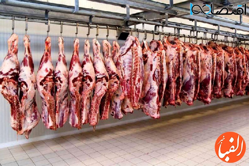 قیمت-گوشت-امروز-۵-تیر-۱۴۰۲-قیمت-دام-زنده-کاهش-یافت