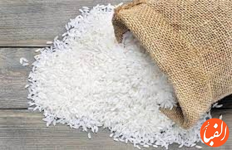 فوری-واردات-برنج-ممنوع-شد