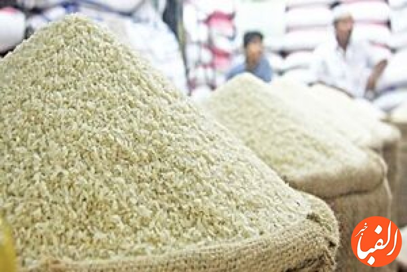 واردات-برنج-ساماندهی-می-شود