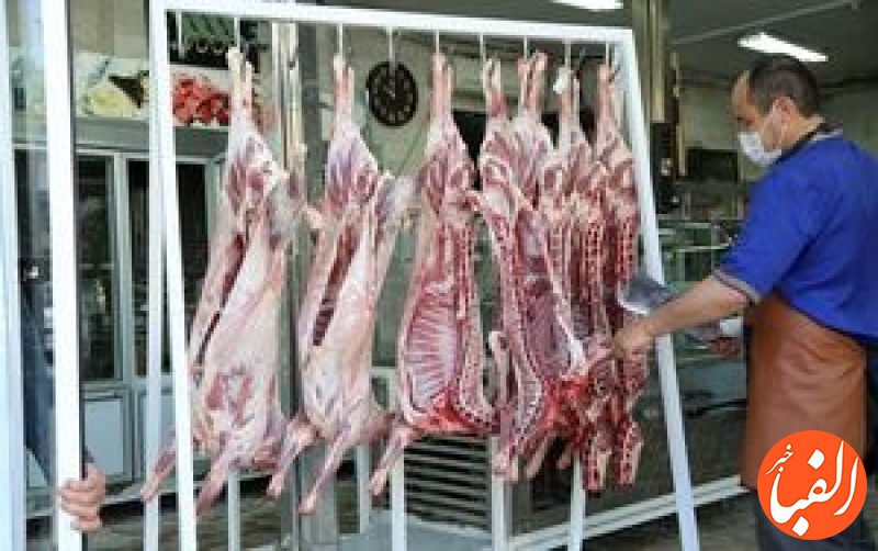 تاثیر-واردات-گوشت-و-دام-زنده-بر-بازار-چیست