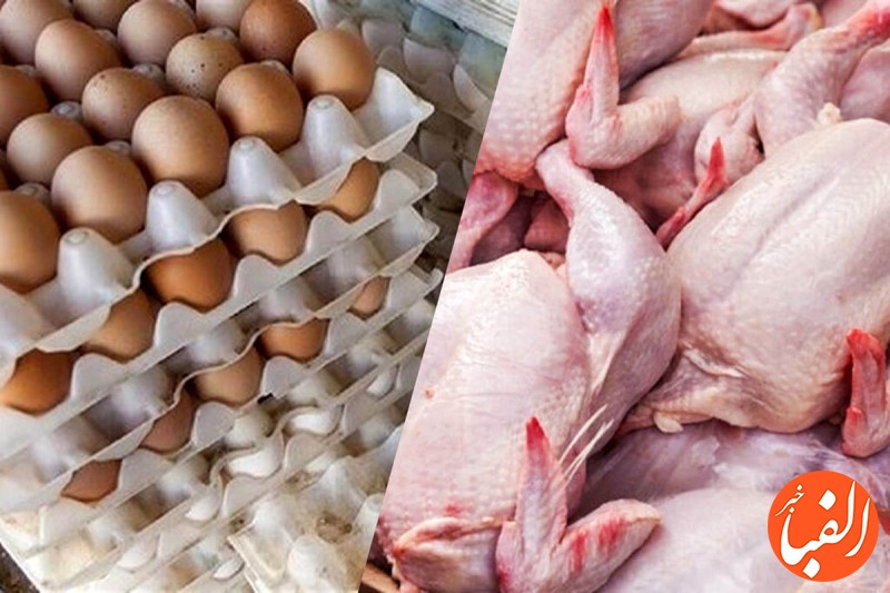 جدیدترین-قیمت-مرغ-و-تخم-مرغ-در-بازار-اعلام-شد-۳۱-تیر