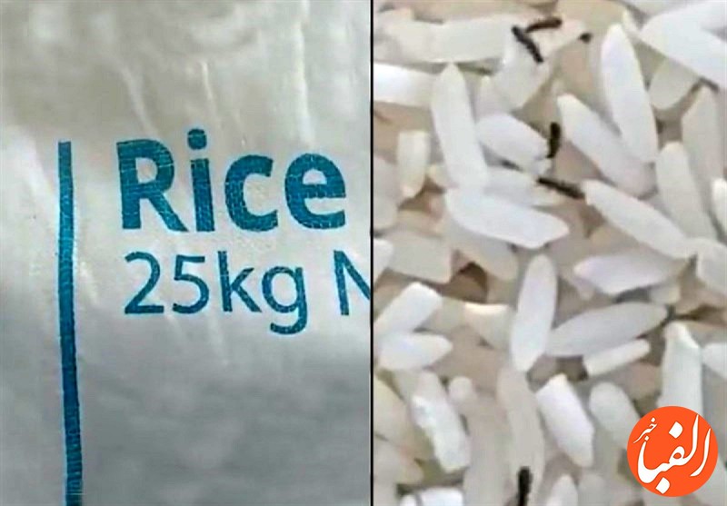 ضربه-دیگر-بر-بازار-برنج