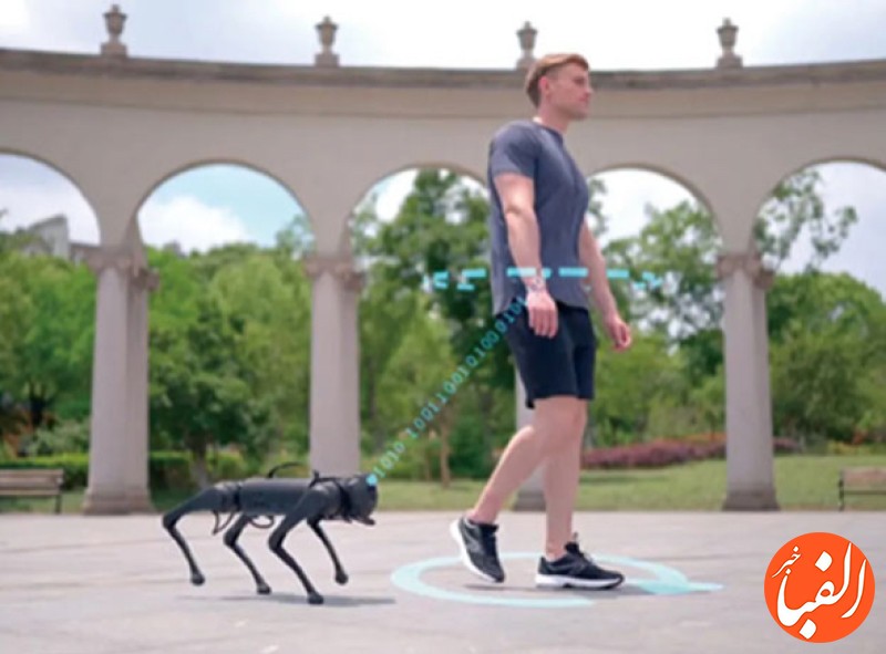 ربات-های-مجهز-به-هوش-مصنوعی-جایگزین-سگ-و-گربه-خانگی-می-شوند