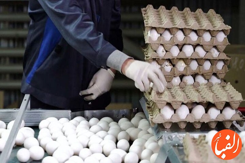 بسته-۲۰-عددی-تخم-مرغ-۱۱۰-هزار-تومان-شد-آخرین-قیمت-تخم-مرغ-در-بازار