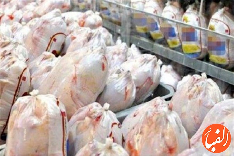 قیمت-مرغ-همه-را-شوکه-کرد-آخرین-قیمت-روز-مرغ-در-11-آبان-هر-کیلو-چند