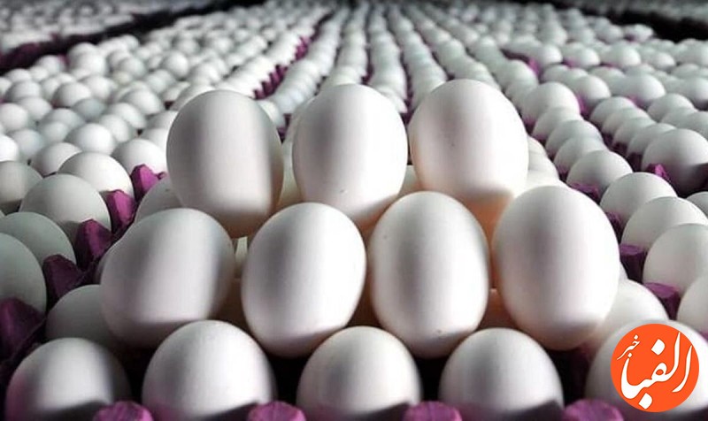 قیمت-جدید-تخم-مرغ-امروز-۲۳-آبان-ماه-در-بازار-جدول