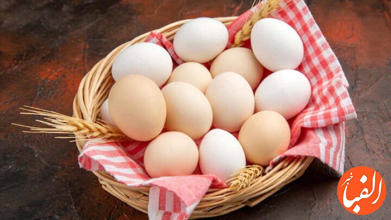 قیمت-تخم-مرغ-امروز-در-بازار-چقدر-شد-جدول