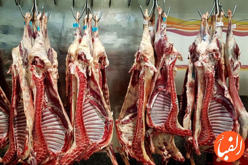 اعلام-قیمت-جدید-گوشت-در-بازار-گوشت-گوساله-کیلویی-چند-شد