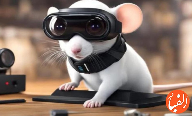 عینک-واقعیت-مجازی-روی-سر-موش-ها-درباره-مغز-انسان-چه-اطلاعاتی-می-دهد