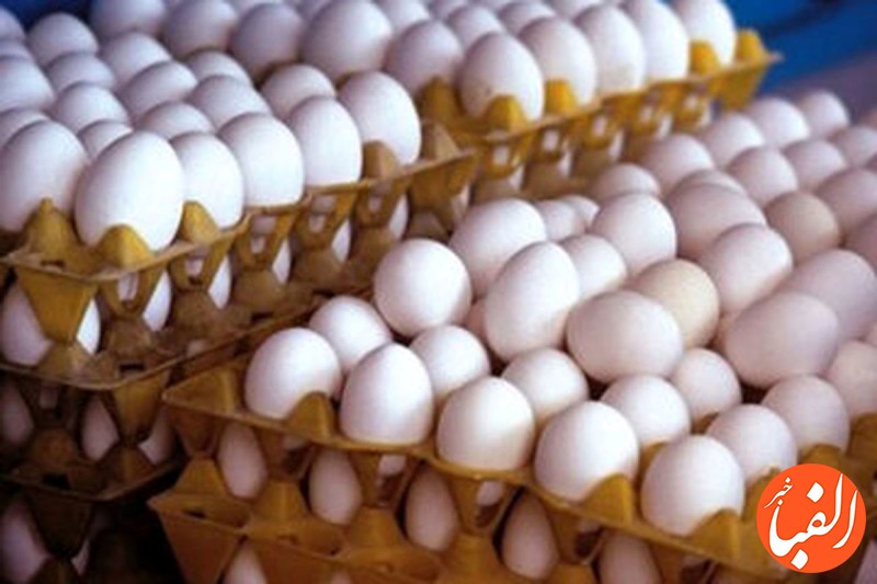 قیمت-تخم-مرغ-تغییر-کرد-تخم-مرغ-دانه-ای-۱۲-هزار-تومان