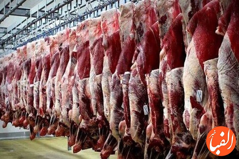 گرانی-قیمت-گوشت-صدای-نمایندگان-را-هم-درآورد