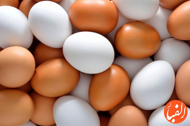 تغییر-قیمت-تخم-مرغ-در-بازار-تخم-مرغ-دانه-ای-۱۲-۳۵۰-تومان