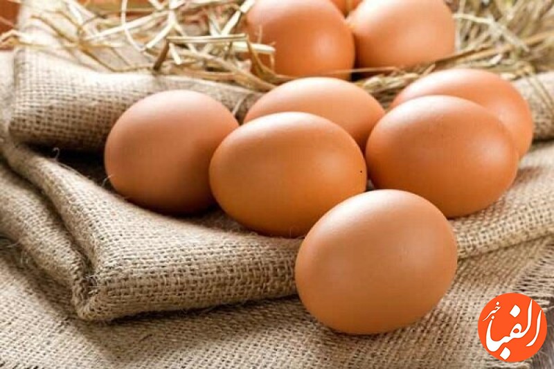 قیمت-جدید-تخم-مرغ-در-بازار-تخم-مرغ-دانه-ای-۱۲-۳۵۰-تومان