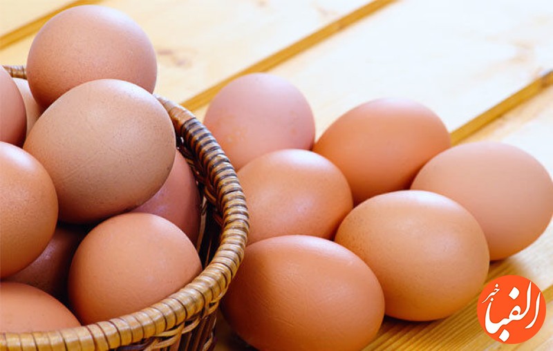 قیمت-تخم-مرغ-در-بازار-امروز-چقدر-بود-جدول