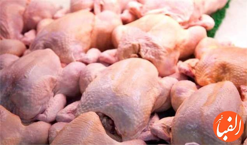 قیمت-مرغ-کاهشی-است-افزایش-میزان-تولید