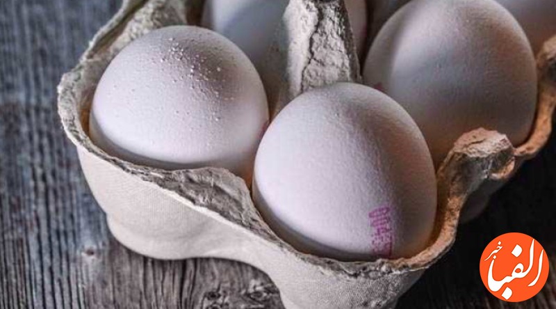 ۰۲-قیمت-تخم-مرغ-امروز-در-بازار-تهران-۵-بهمن-۱۴۰۲