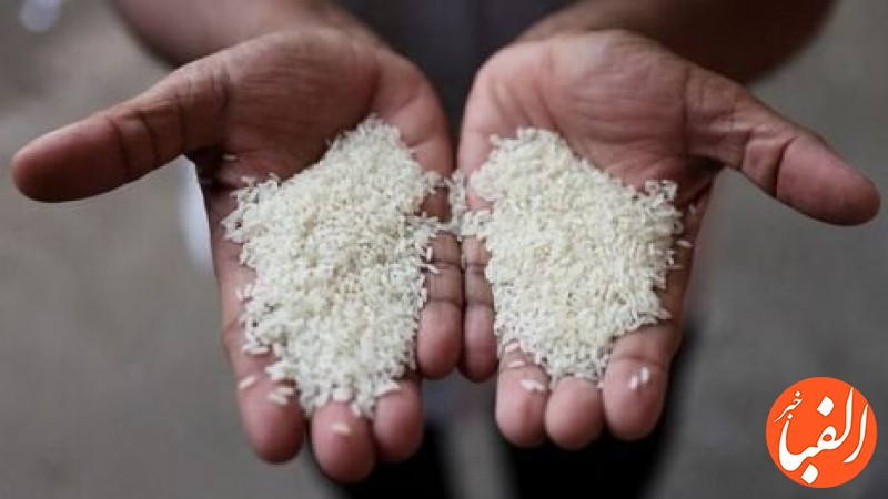 برنج-هندی-بازار-را-دوباره-غافلگیر-کرد