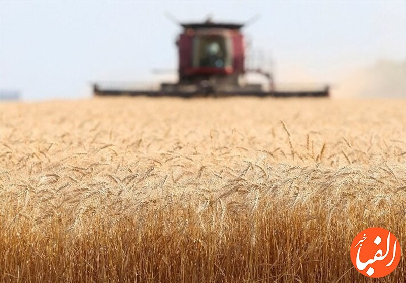 ایران-رتبه-۲۱-در-تولید-برنج-دنیا-را-دارد