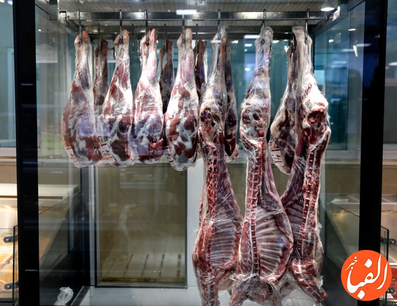 عرضه-گوشت-وارداتی-با-قیمت-۲۳۰-تا-۳۷۵-هزارتومان