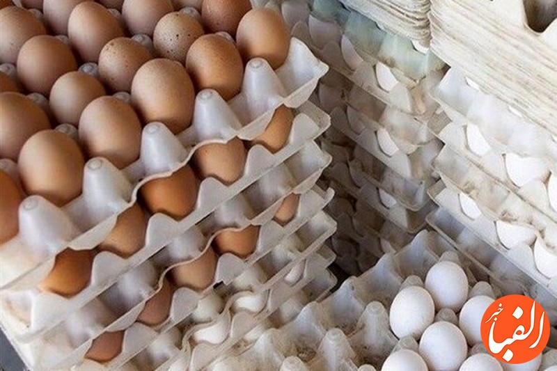 قیمت-هر-شانه-تخم-مرغ-در-بازار-امروز-هر-بسته-تخم-بلدرچین-چند-جدول