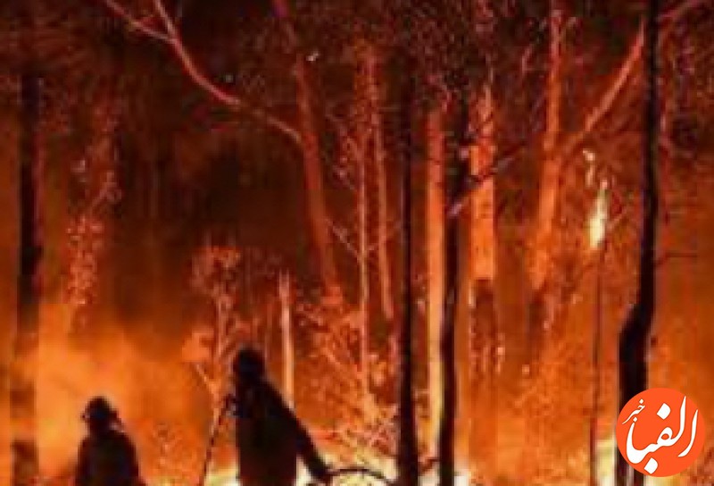آتش-سوزی-جنگل-ها-در-۱۸-ایالت-مکزیک