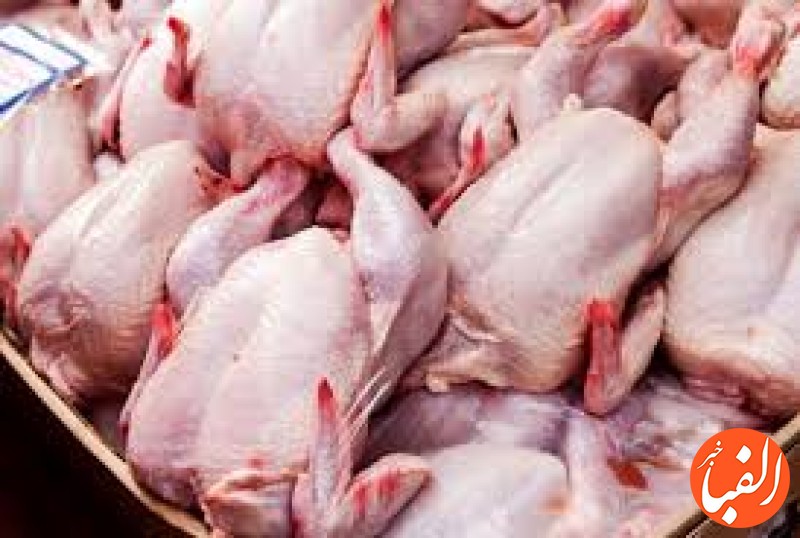 قیمت-گوشت-مرغ-در-بازار-روز-اعلام-شد-قیمت-مرغ-۲۷۰-هزار-تومان-شد