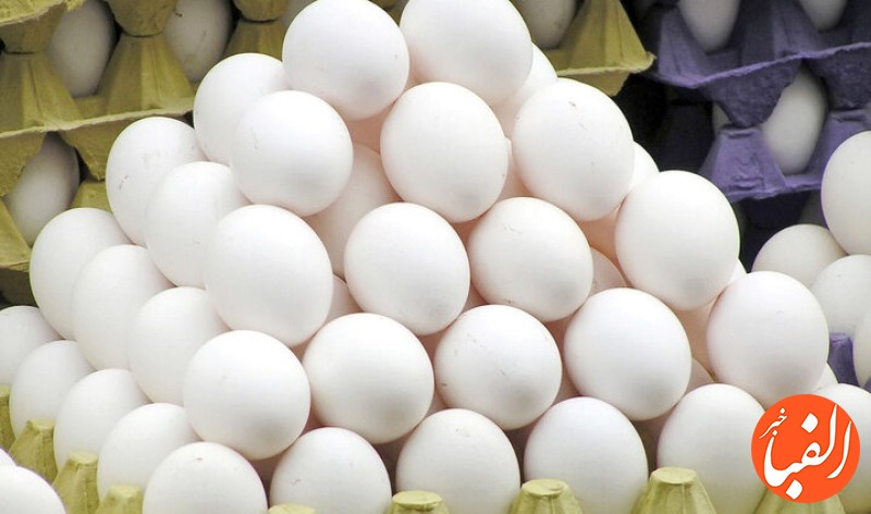 صادرات-بیش-از-۱۳۶-هزار-تن-تخم-مرغ