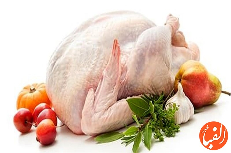 نرخ-مصوب-مرغ-امروز-۲۱-اردیبهشت-۱۴۰۳-جزییات-تغییر-قیمت-مرغ